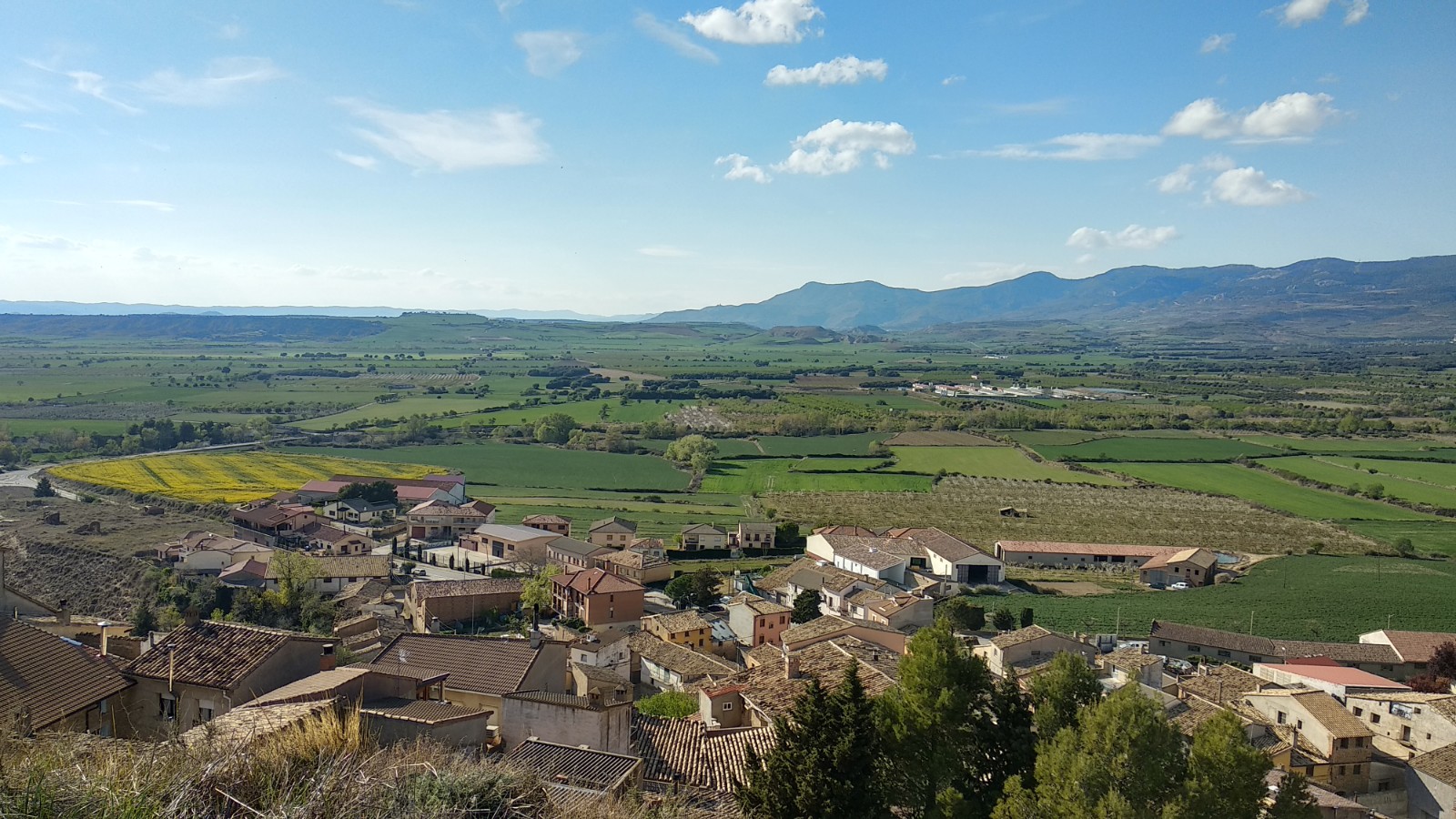 Vista Bolea Cerezos en Flor Hoya de Huesca 