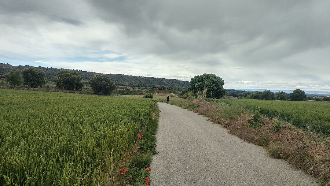 Running de Huesca a Montearagon 