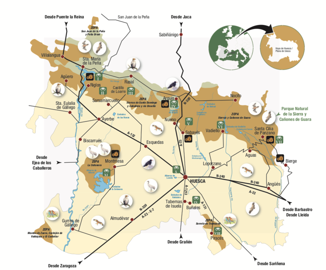 Mapa ornitologico de la Hoya de Huesca