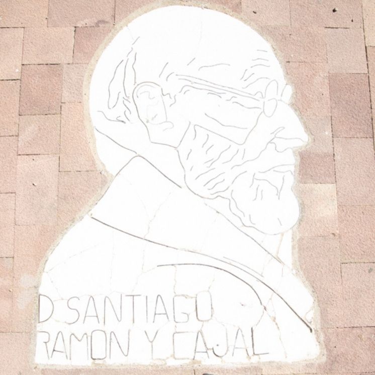 2 Ramon y Cajal