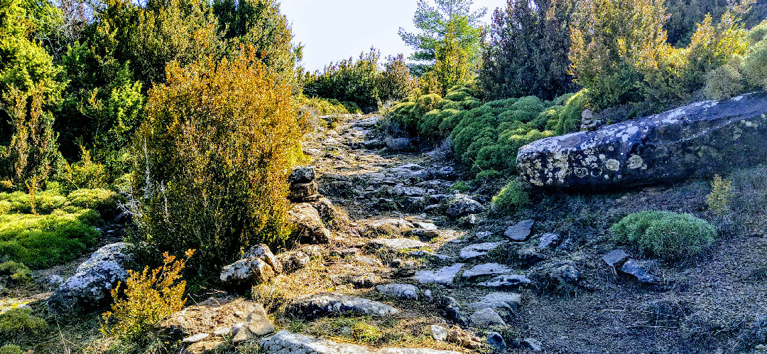 Sendero por la Solana Ruta circular por la Sierra de Bones Turismo Hoya de Huesca Joaquin Santafe