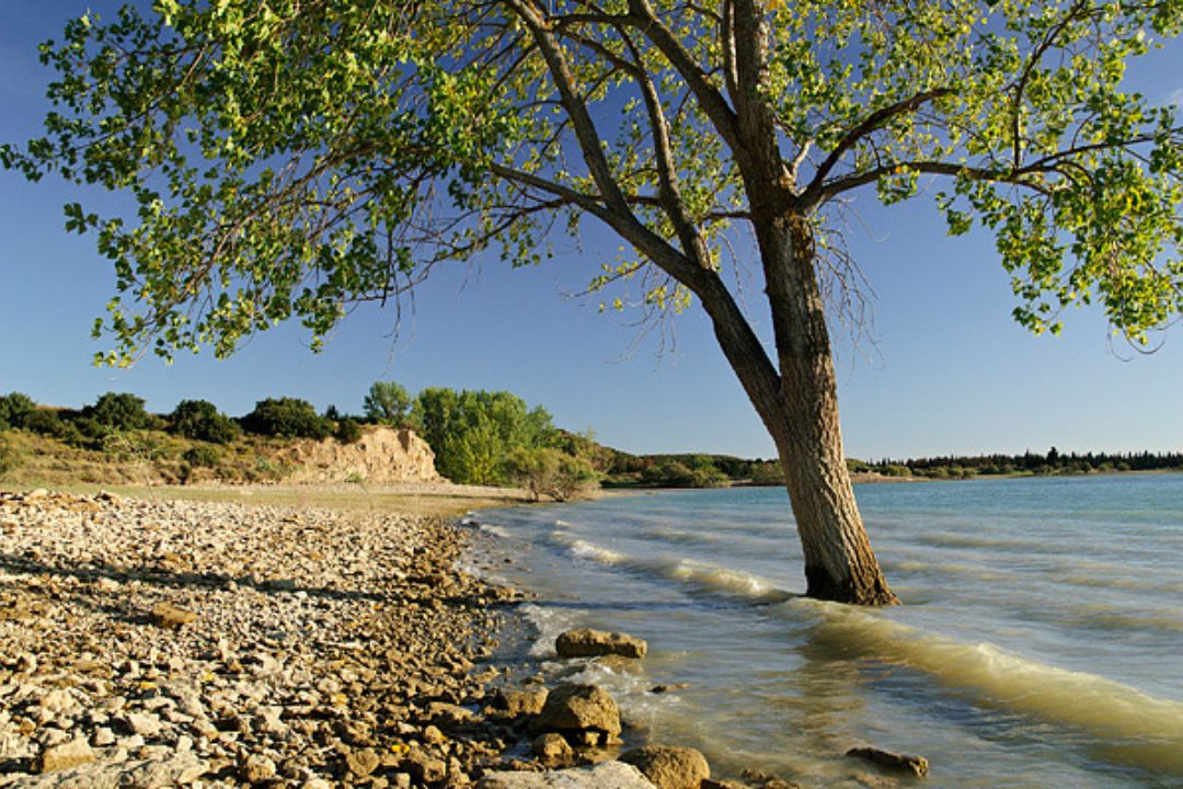 Embalse de la Sotonera Tormos