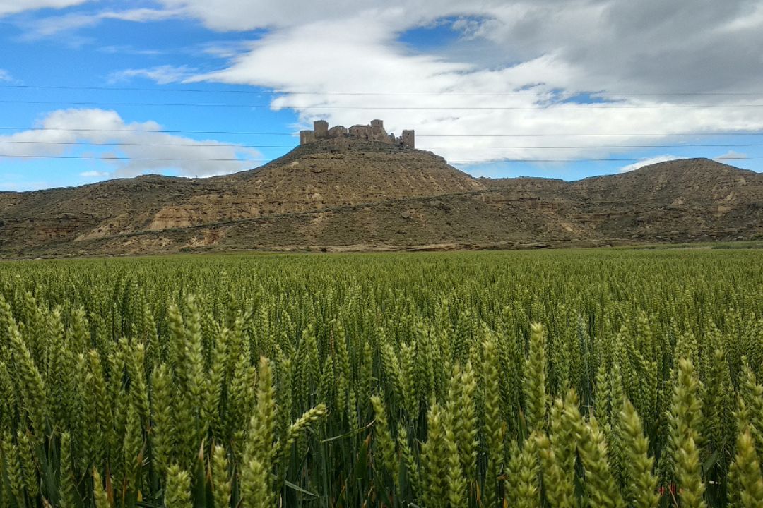 Castillo de Montearagon