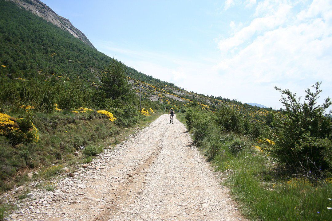 Uno de los caminos de la ruta