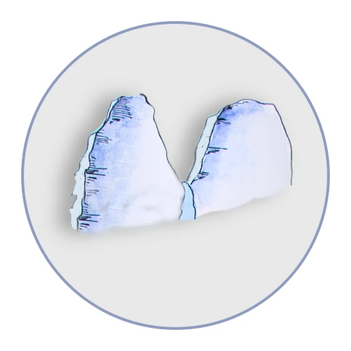 Descripción de la imagen 1