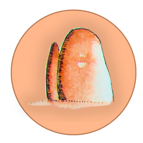 Descripción de la imagen 2