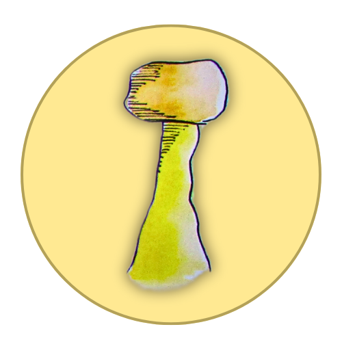 Descripción de la imagen 3