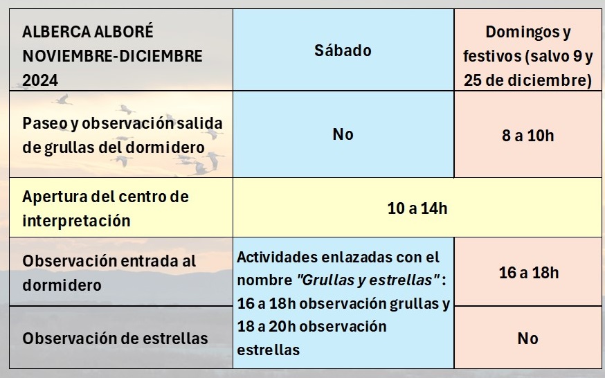 alberca alboré noviembre diciembre