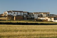Blecua