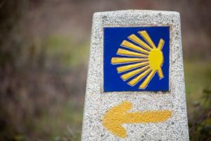 El Camino de Santiago en la Hoya de Huesca: historia, cultura y paisajes en seis etapas