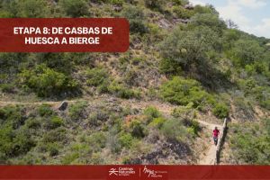 Un hombre está caminando por un sendero