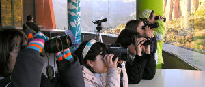 Museos de la naturaleza