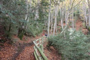 Descubre tu ruta ideal en La Hoya de Huesca: Senderismo y más para todos los niveles