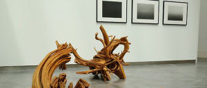 Centro de arte y naturaleza. Fundación Beulas