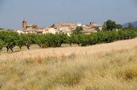 Plasencia del Monte
