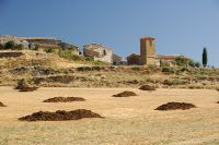 Piedramorrera